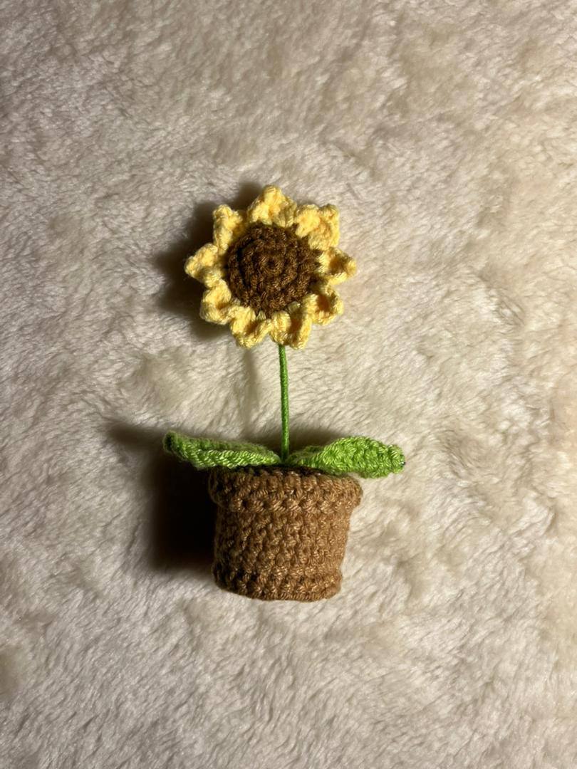 وردة دوار الشمس