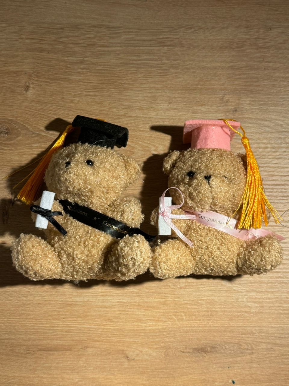 دباديب تخرج